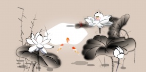 淡雅简约水墨荷花flash动画